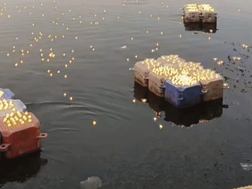 प्रधानमंत्री नरेंद्र मोदी के जन्मदिन पर रायपुर में दीपोत्सव, जगदलपुर में बीजेपी-कांग्रेस में झड़प