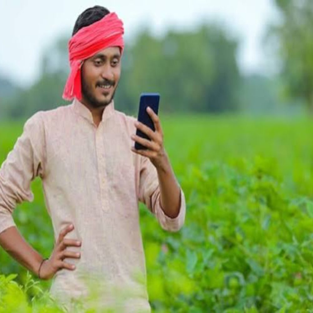 एग्रीस्टैक किसान रजिस्ट्री से सामने आई संयुक्त जमीन की असली स्थिति, 17 जिलों में किसानों की संख्या लक्ष्य से 3,89,617 अधिक