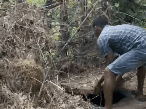 कोरबा में लिव-इन पार्टनर ने महिला की हत्या कर शव सेप्टिक टैंक में छिपाया, रक्षाबंधन पर नहीं पहुंची तो खुला राज