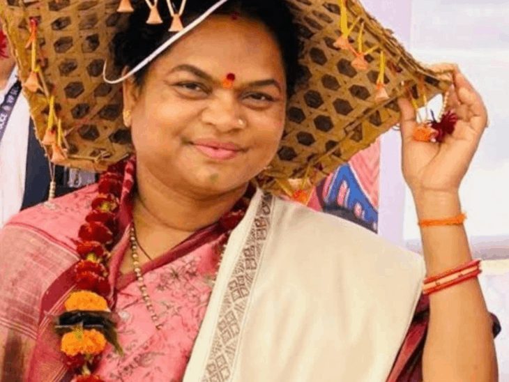 छत्तीसगढ़ में साइबर ठगी: राज्यसभा सांसद फूलो देवी नेताम और विधायक तुलेश्वर मरकाम का वॉट्सऐप हैक, पैसे मांगने के मैसेज भेजे