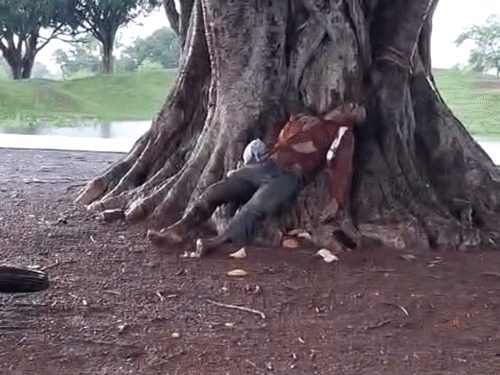 छत्तीसगढ़ में आज भी बारिश का दौर जारी, 15 जिलों में 40-60 किमी रफ्तार से आंधी का अलर्ट; बिजली गिरने से 5 की मौत